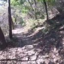 거북이주유소 이미지