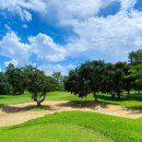 로얄골프랜드 이미지