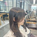 원주센텀헤어기업도시점 | 원주기업도시미용실 중에 이렇게 편하고 세심한 곳 처음! 모즈토리 원주기업도시점 방문 후기 공유해요