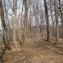 춘성대교(구)