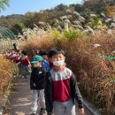 서리지생태공원(2)