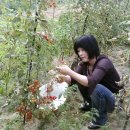 미영농장 이미지