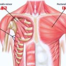하이브 PT 이미지