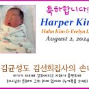 김균 & 김선희 집사님의 손녀 Harper Kim이 태어났습니다. 축복합니다! 이미지