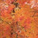 이색신도비 이미지