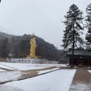 속리산 네이버블로그
