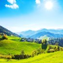 홈푸드식당 이미지