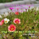 수궁펜션 이미지