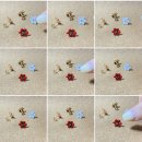 레드플라워(RED FLOWER) 이미지