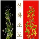 무늬와공간 이미지