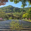 나무이야기 펜션 리솜포레스트 이미지