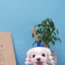 유앤릿 이미지