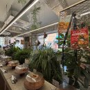 케이크인더샵 | 용산 디저트 맛집 파이인더샵 | 생망고 요거트 케이크 먹고 반한 후기