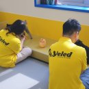 옐레드 애견유치원&애견호텔 대구신월성점 이미지