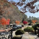 예그리나민박 이미지