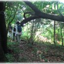 대월초등학교 이미지