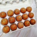 농업회사법인 (주)행복한농장 이미지