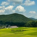 토모노야시그니처료칸남해A 이미지