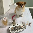 쿠키네 제과점 이미지