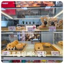 한손팜 | 홍대 뉴욕식 베이글 브루클린 베이글팜 내돈내산 솔직후기