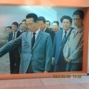 신도리-8 Daum카페