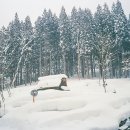 99film 이미지