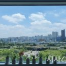 솔메이트 이미지