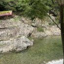 [완주] 대전 근교 여름철 아이와 갈만한 곳 - 전북 완주군 운주계곡 수룡가든