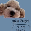 멍동댕유치원 이미지