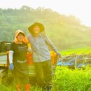 덕현농장 이미지