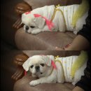 설기 미용실