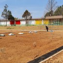 봉황초등학교 이미지