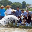 농협경제지주 종돈개량사업소 이미지