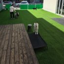 프로네앞마당 이미지