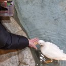 주렁주렁