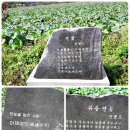레드피아노 이미지