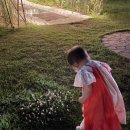 일곡온누리약국 이미지