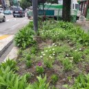 SK명품주유소 이미지