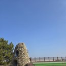 부곡동 돌담해안숲공원 | 동해 현지인이 찐추천! 묵호 옆 숨은 산책 스팟, 부곡 돌담마을 해안 숲길