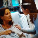 토리메드 이미지