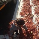 약사세요 약국 이미지