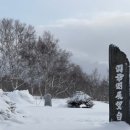 팔레스마트