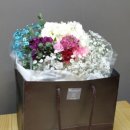 플로라 & 디자인스쿨 이미지