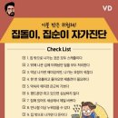 집순이