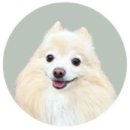 명금당 이미지