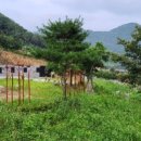 새마을 시대촌 이미지