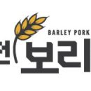 보리돈