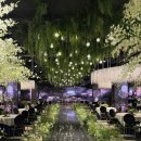 몽키매직 이미지