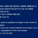 은사랑 - 창원시 진해구 벚꽃로 74 | 은사랑