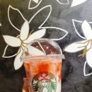 노원-공릉-3232 | 2022년 스타벅스 신메뉴 봄딸기라떼 후기